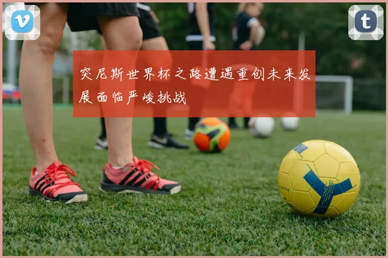 突尼斯世界杯之路遭遇重创未来发展面临严峻挑战